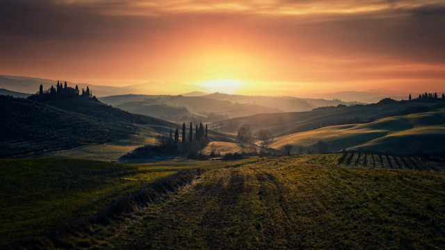 Sunset hilly countryside trees horizon free wallpaper for desktop - medium preview image