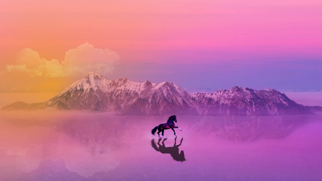 Horse water mountain pink sky free wallpaper for desktop - medium preview image