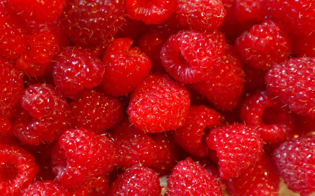 Raspberries water droplets closeup rococo free wallpaper for desktop - medium preview image