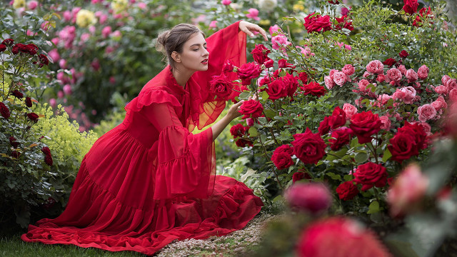 Woman red dress garden roses free wallpaper for desktop - medium preview image