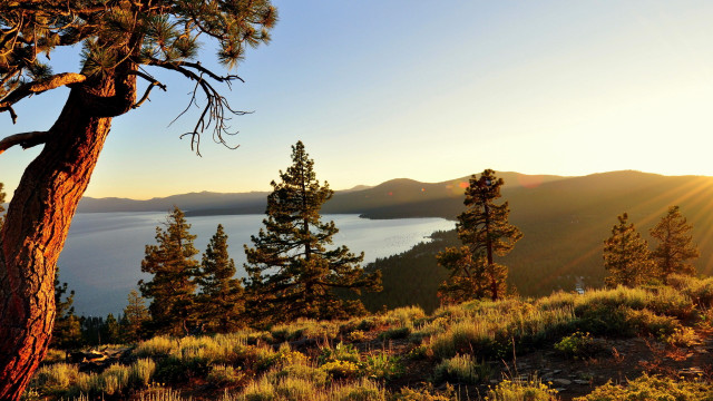 Tree hill lake sunset autumn free wallpaper for desktop - medium preview image