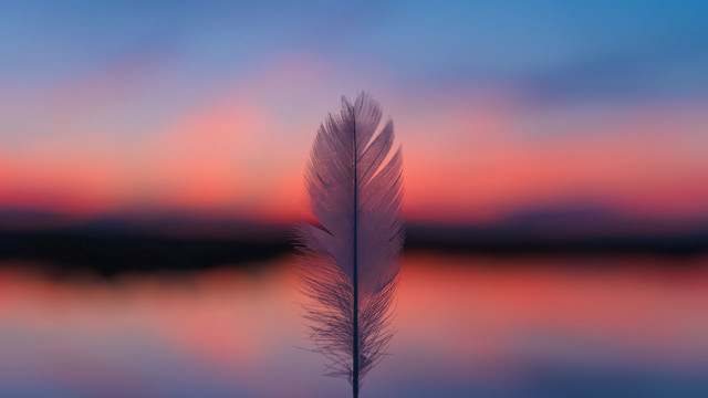 Feather table lake sunset pink free wallpaper for desktop - medium preview image
