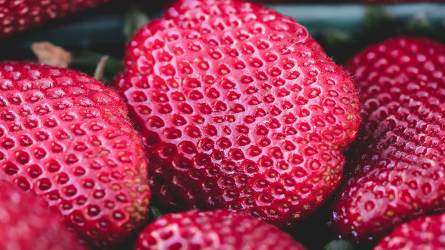 Strawberries bowl water droplets green free wallpaper for desktop - medium preview image