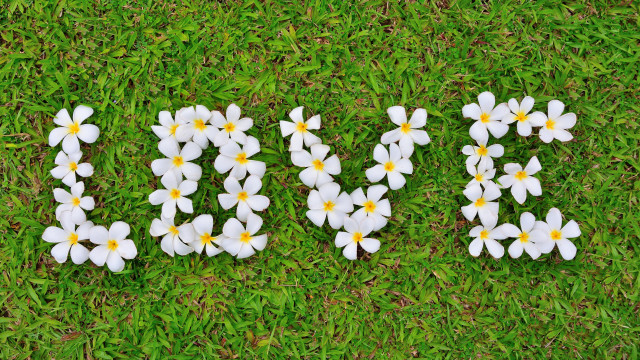 Joy flower field nature ecological free wallpaper for desktop - medium preview image