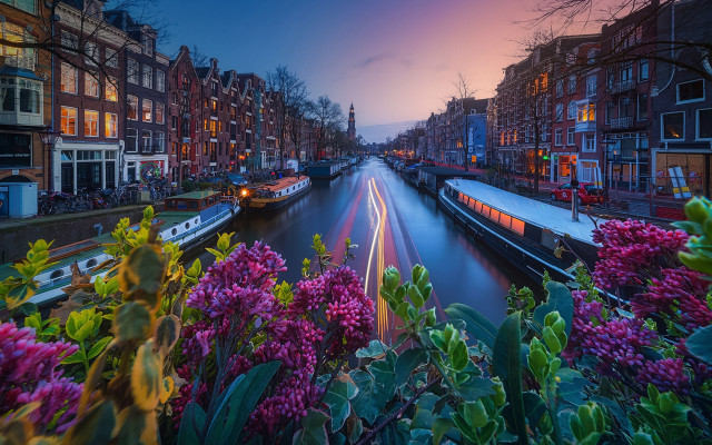 Canal flowers urban sunset architecture free wallpaper for desktop - medium preview image