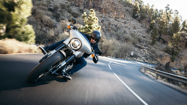 Man motorcycle curvy road forest #2 free wallpaper for desktop - medium preview image