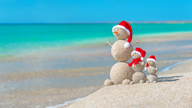 Snowman beach ocean sky bear free wallpaper for desktop - medium preview image