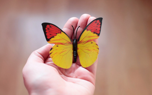 Yellow butterfly hand intricate fiona free wallpaper for desktop - medium preview image