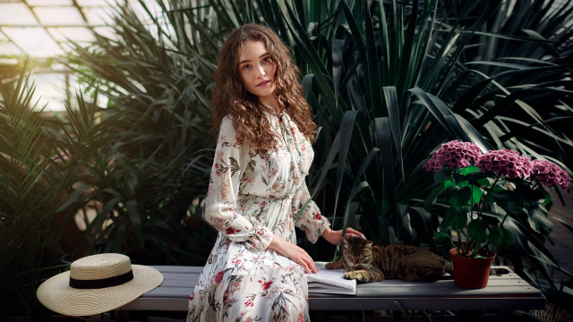 Woman bench cat hat plant free wallpaper for desktop - medium preview image