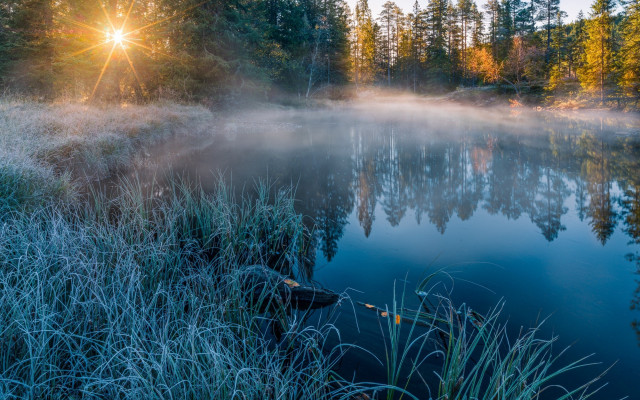 Lake trees fog mist autumn free wallpaper for desktop - medium preview image