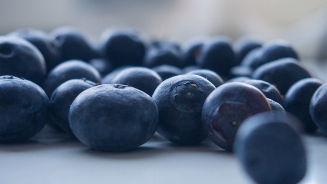 Blueberries closeup blurry macro depthchromatic free wallpaper for desktop - medium preview image