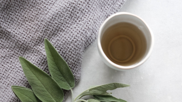 Tea leaf table spoon plant free wallpaper for desktop - medium preview image