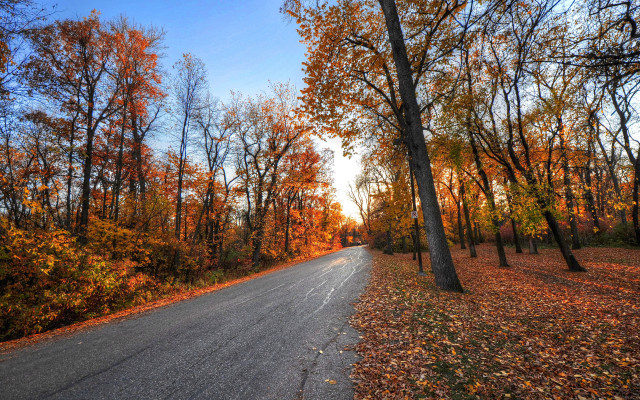 Autumn road fall foliage trees free wallpaper for desktop - medium preview image