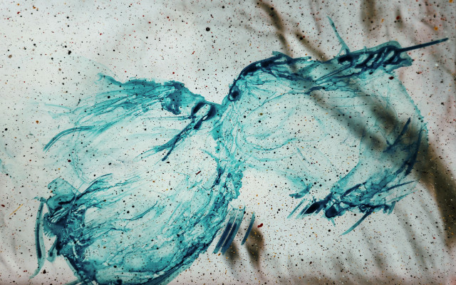 Birds ink paper blood splatter free wallpaper for desktop - medium preview image