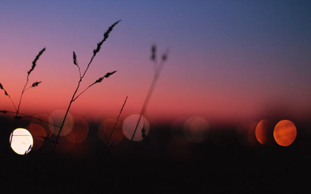 Sunset lightbulb field moon redsky free wallpaper for desktop - medium preview image