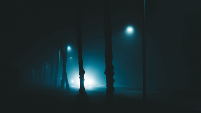 Foggy night street lights trees free wallpaper for desktop - medium preview image