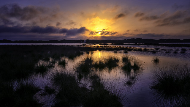 Sunset marsh water island cityscape free wallpaper for desktop - medium preview image