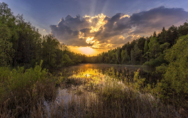 Lake trees grass cloudy sky #5 free wallpaper for desktop - medium preview image