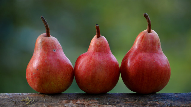 Three pears wooden surface blurry free wallpaper for desktop - medium preview image