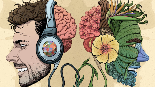 Psychedelic man headphones flower brain free wallpaper for desktop - medium preview image