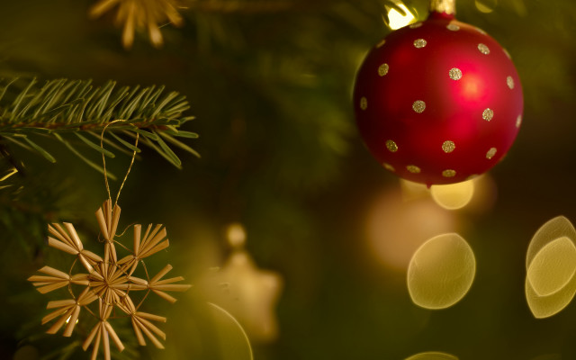 Red ornament christmas tree lights free wallpaper for desktop - medium preview image