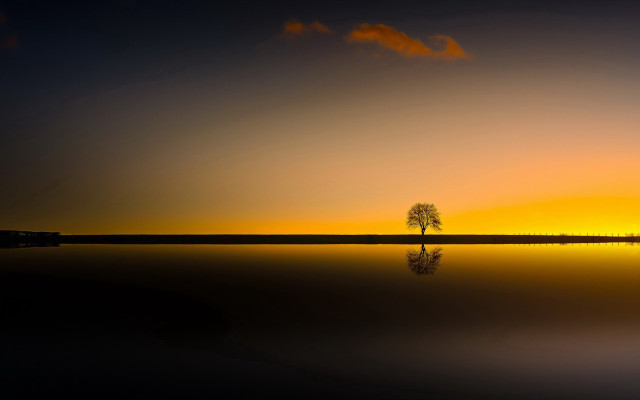 Lone tree sunset lake reflection free wallpaper for desktop - medium preview image