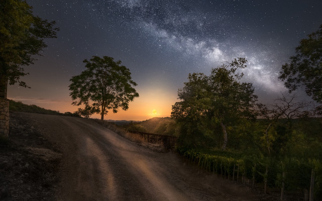 Dirt road trees starry sky free wallpaper for desktop - medium preview image