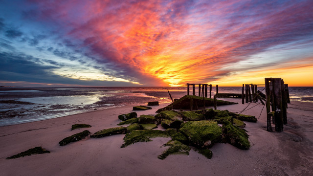 Beach algae sunset clouds cityscape free wallpaper for desktop - medium preview image