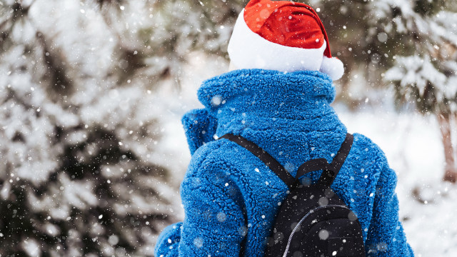 Snowy astronaut christmas pine night free wallpaper for desktop - medium preview image