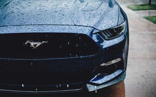 Mustang rain hood vents cobra free wallpaper for desktop - medium preview image
