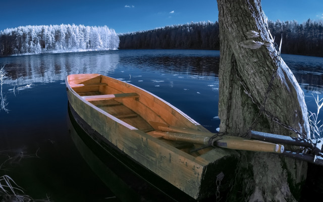 Lake moon tree boat reflection free wallpaper for desktop - medium preview image