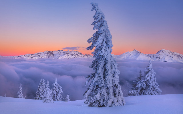 Snowy mountain tree sunset clouds free wallpaper for desktop - medium preview image