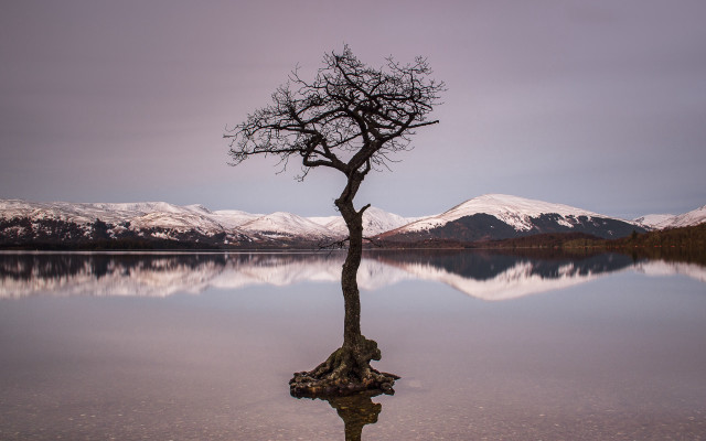 Lone tree lake mountains clouds #2 free wallpaper for desktop - medium preview image