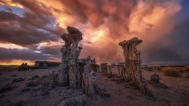 Trees dirt sky clouds city free wallpaper for desktop - medium preview image