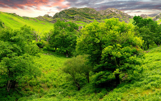 Lush green hillside mountains sunset free wallpaper for desktop - medium preview image