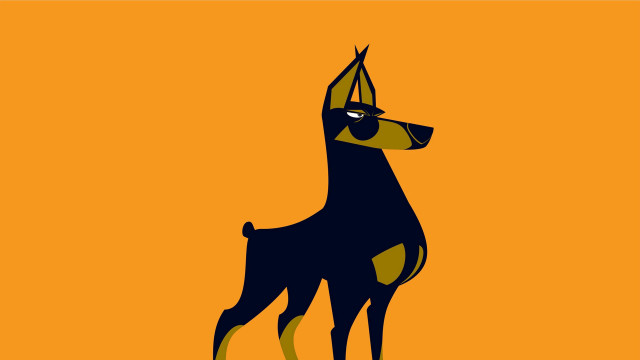 Dog hat portrait bauhaus orange free wallpaper for desktop - medium preview image