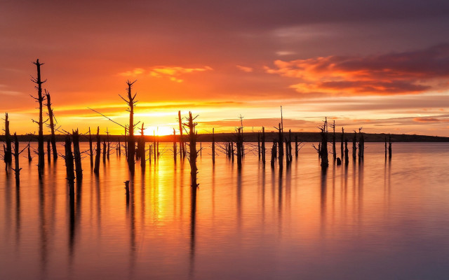 Sunset lake dead trees clouds free wallpaper for desktop - medium preview image
