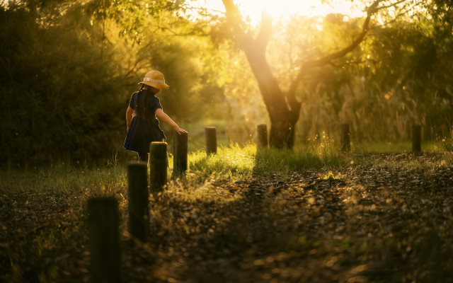 Person walking woods sunset hat free wallpaper for desktop - medium preview image