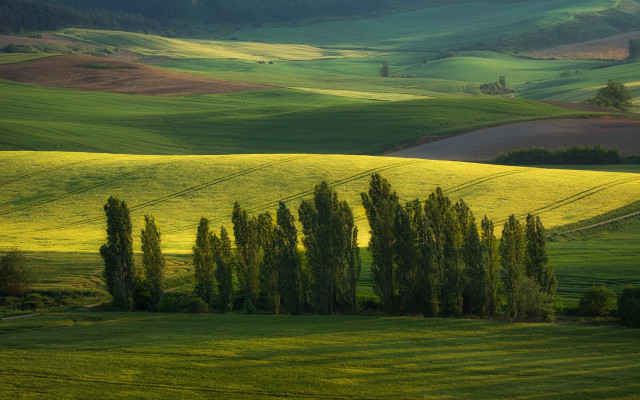 Green field trees hills clouds free wallpaper for desktop - medium preview image