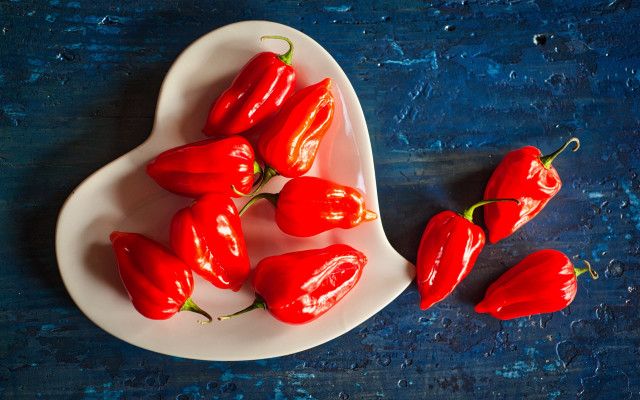 White plate red peppers blue free wallpaper for desktop - medium preview image