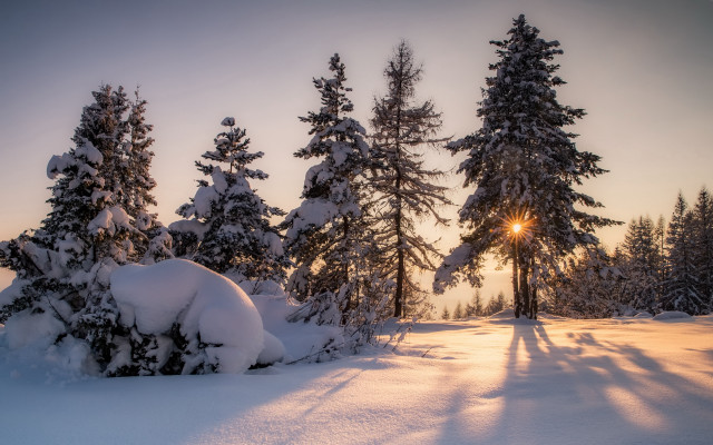 Snowy forest sunset mountain lake free wallpaper for desktop - medium preview image