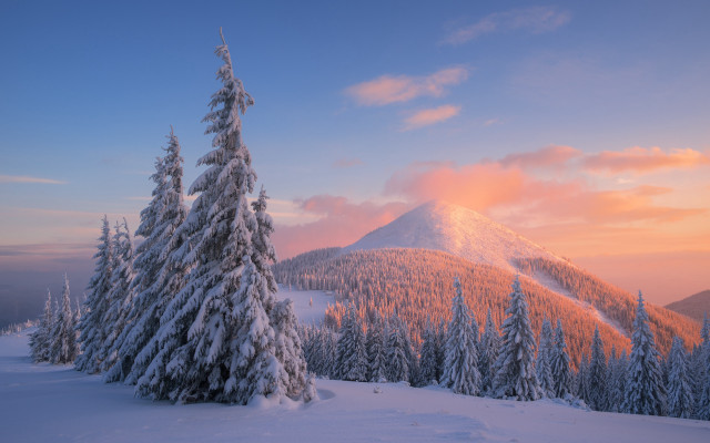 Snowy mountain trees pink sky #2 free wallpaper for desktop - medium preview image