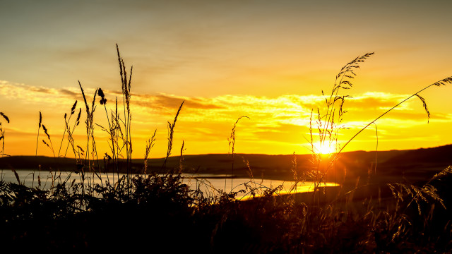 Sunset water plant sky horizon free wallpaper for desktop - medium preview image