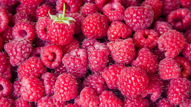 Raspberries strawberry green stem naturalism free wallpaper for desktop - medium preview image