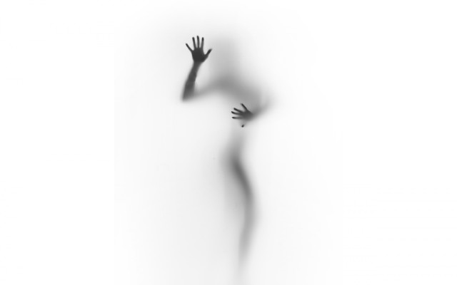 Shadow reach bird liminal monochrome free wallpaper for desktop - medium preview image