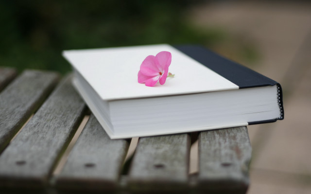 Pink flower on book outdoor free wallpaper for desktop - medium preview image