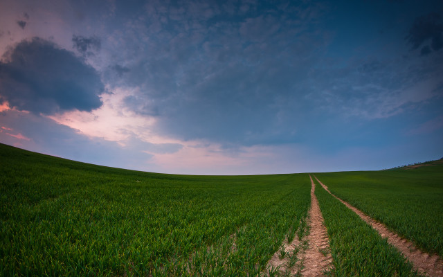 Dirt road green field cloudy #9 free wallpaper for desktop - medium preview image