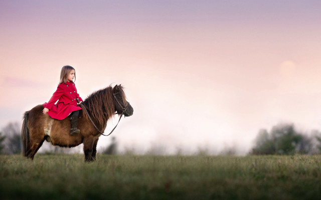 Woman red coat horse field free wallpaper for desktop - medium preview image