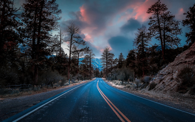 Clouds road trees autumn night free wallpaper for desktop - medium preview image