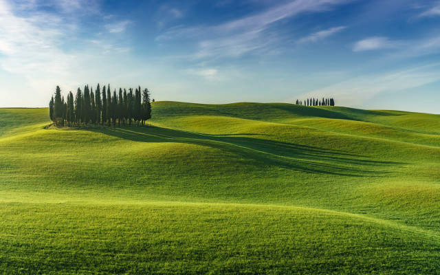 Green field trees blue sky #8 free wallpaper for desktop - medium preview image